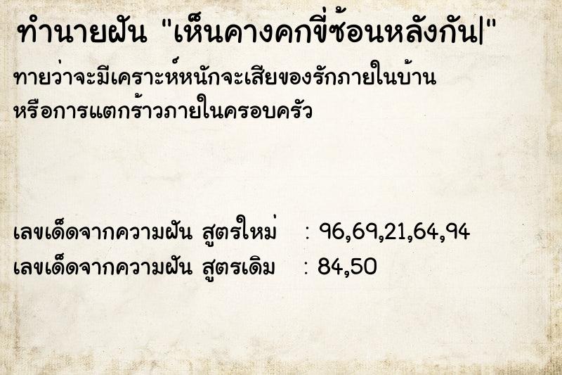 ทำนายฝันเห็นคางคกขี่ซ้อนหลังกัน| ทำนายฝันทำนายฝันเห็นคางคกขี่ซ้อนหลังกัน|